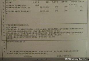 父亲的保险单,全面解析保障内容与理赔流程