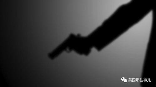 暗中一枪,揭秘神秘枪击事件