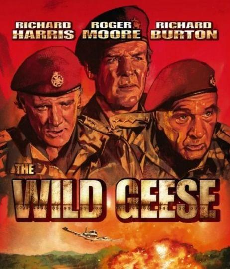 野鹅敢死队,勇闯险境的传奇特工