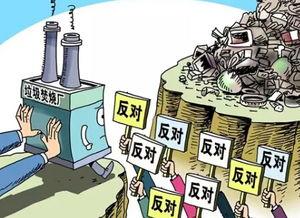 矛盾效应,揭示冲突背后的惊人真相