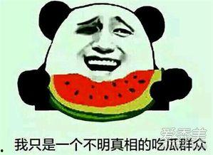 吃瓜事件什么意思,网络舆论场中的真相与误解